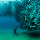 Illustration for article titled A tornado of fish looks like a scary sea monster demon